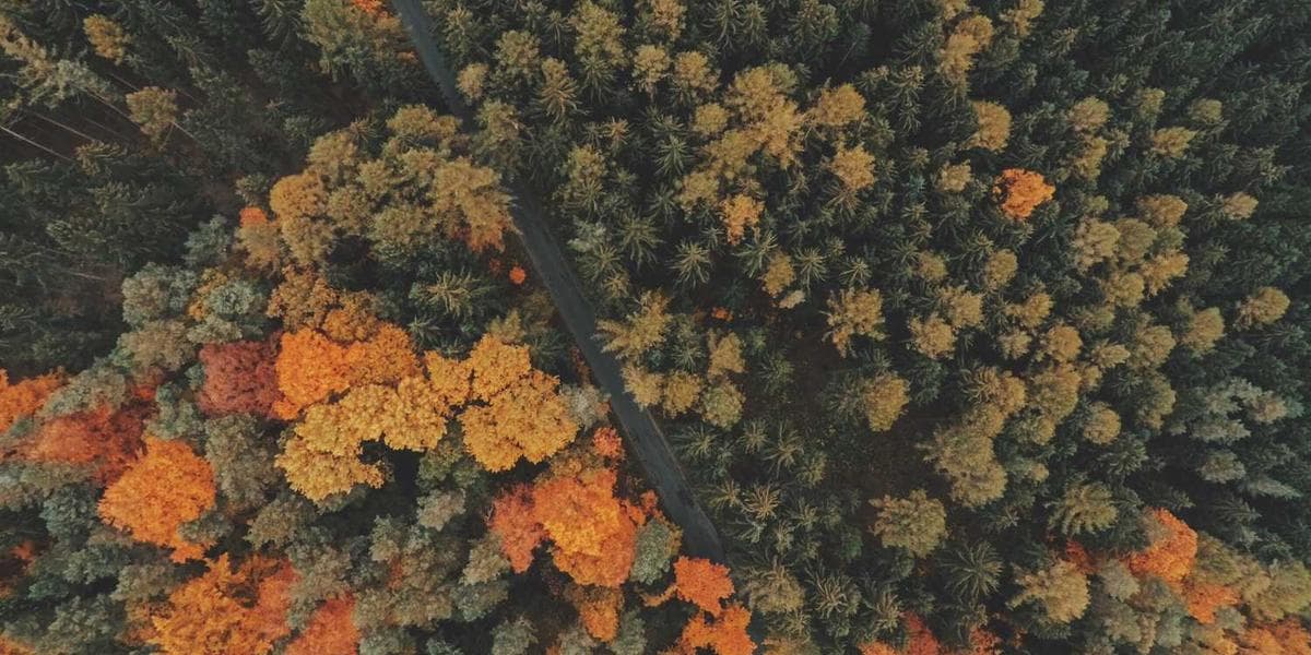 Moving Beyond Servers: Getting Started with AWS Lambda
