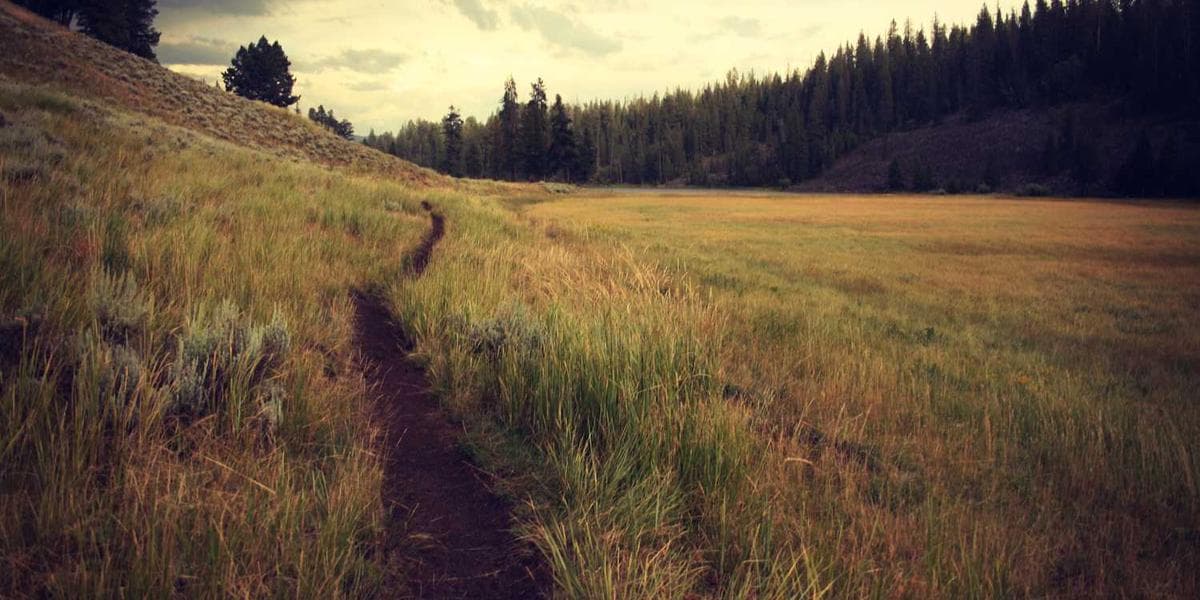 Automate Your Workflow: An Introduction to Git Hooks